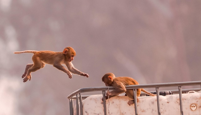 teamwork
