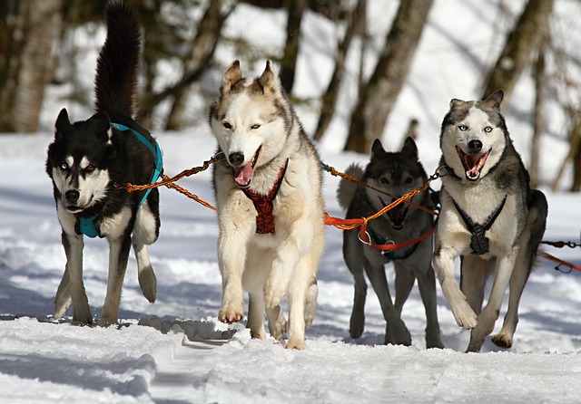 teamwork